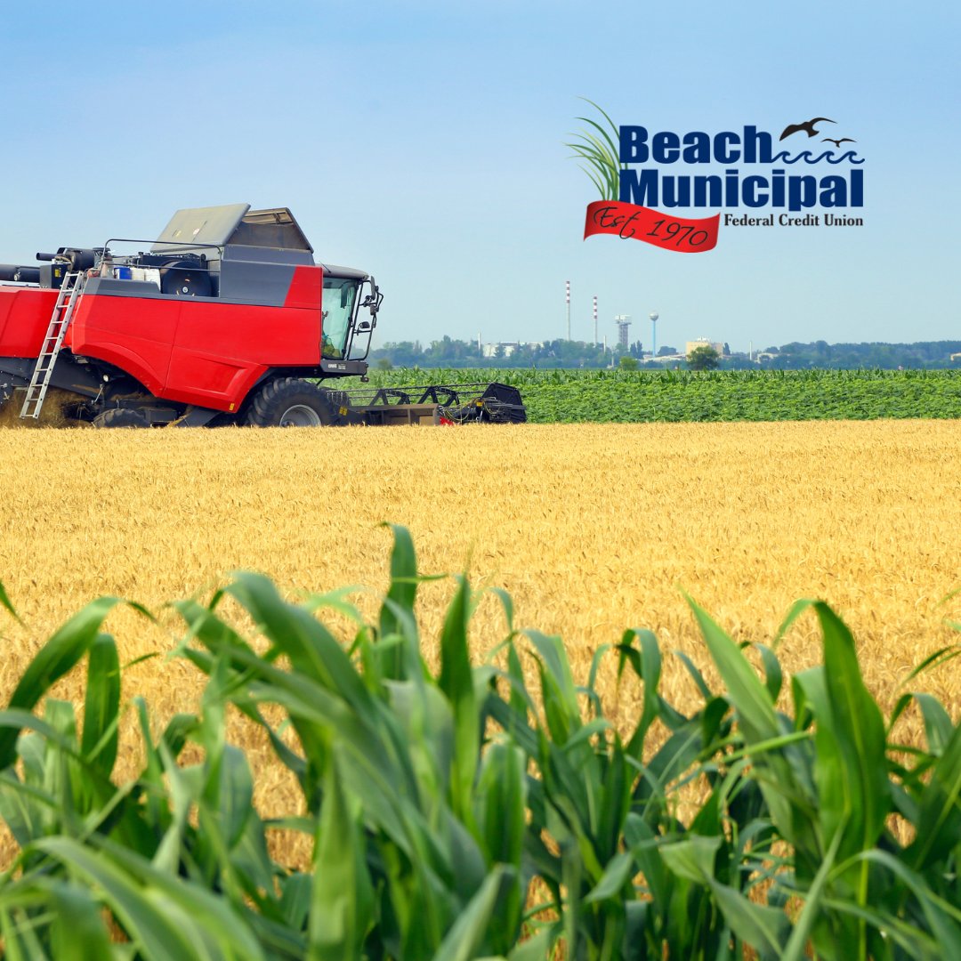 BeachMunicipal's tweet image. Happy National Agriculture Day! We recognize the farmers, ranchers, and agricultural workers who are stewards of our land and keep our economy moving. 🪴 Thank an agricultural worker in the comments! @VBFarmersMarket
#CUatBeach
#NationalDay
