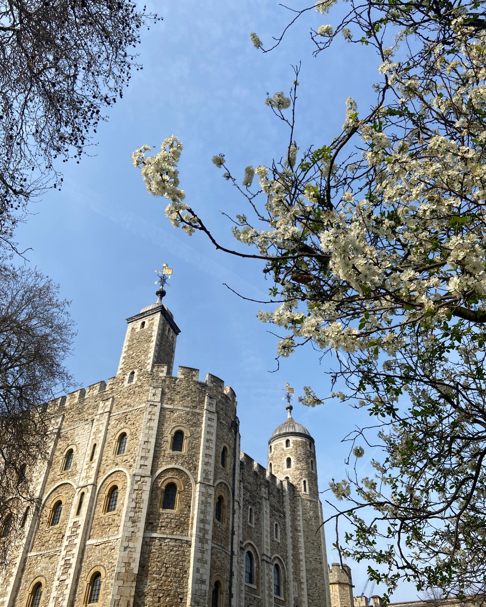 The Tower of London tweet media