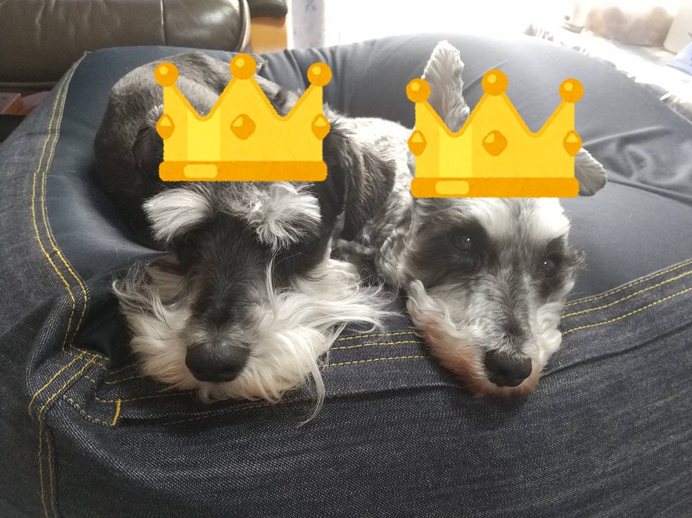 ダイナム亀有店 tweet media