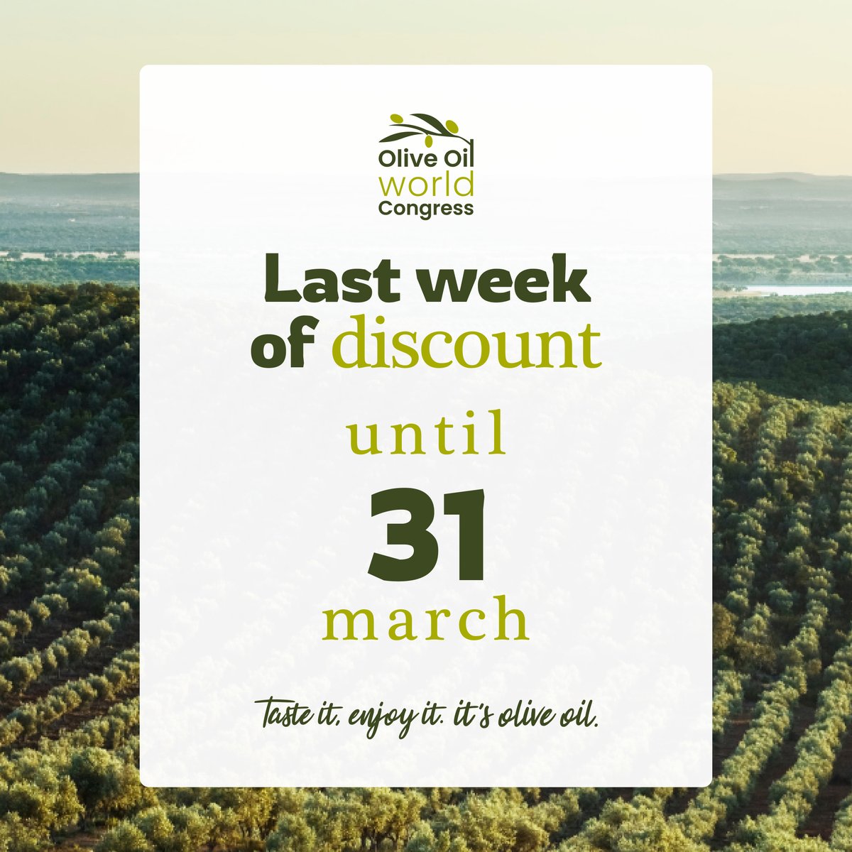 Olive Oil World Congress tweet media