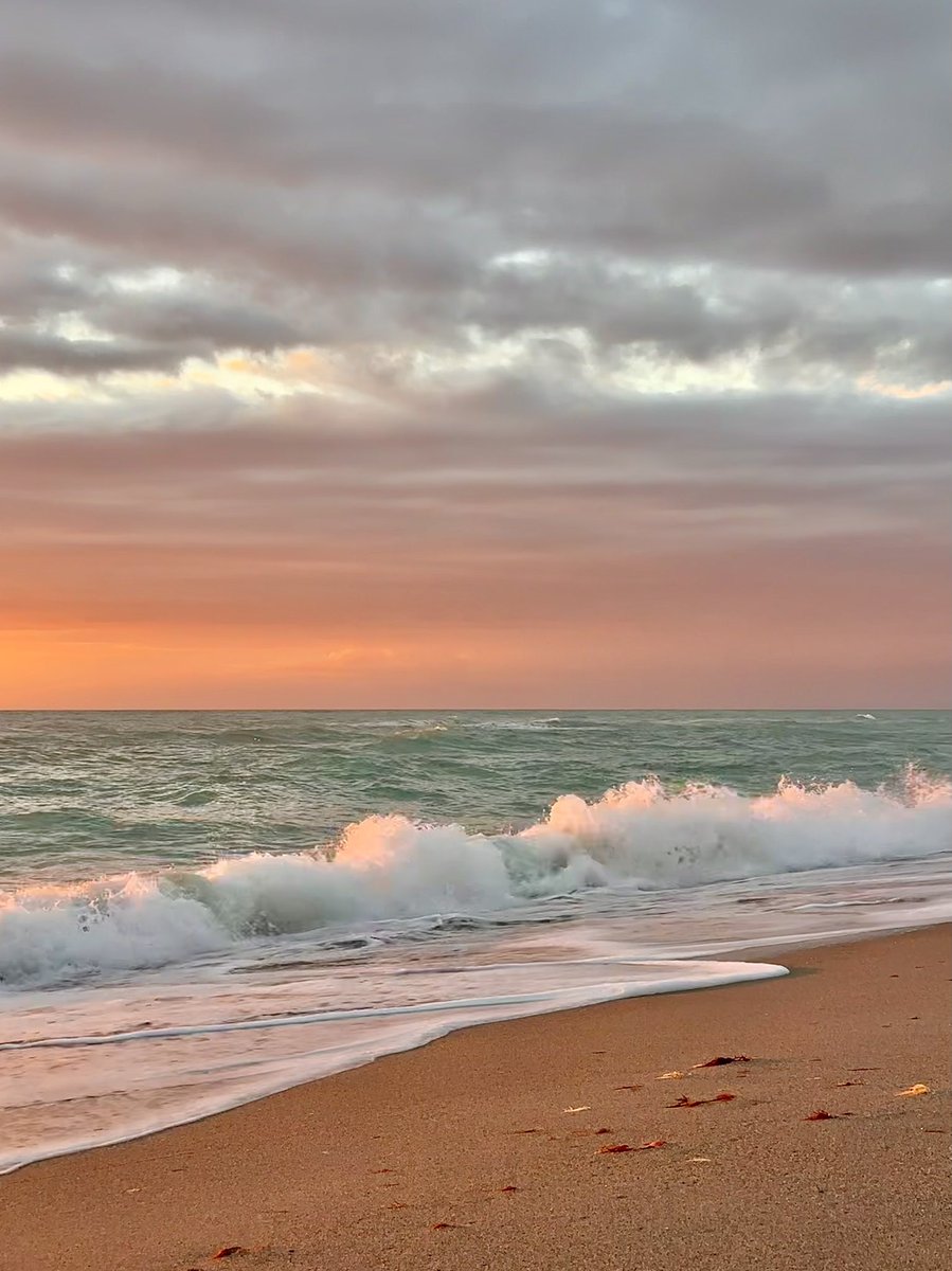 Mira🌺 tweet media