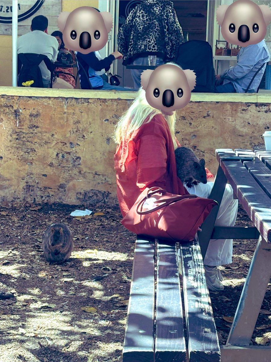 Re🇯🇵→🇲🇾ELF💎 tweet media