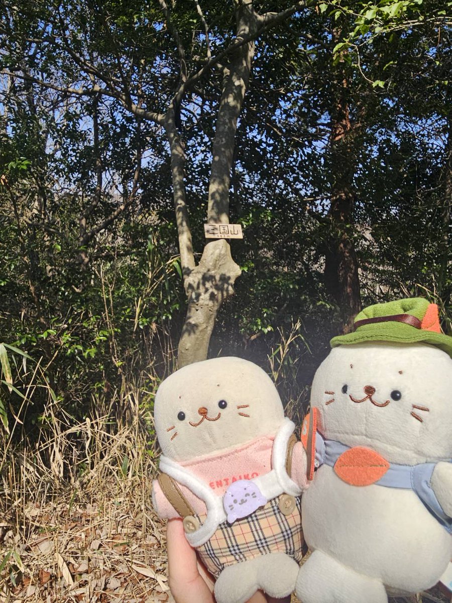 etokintore's tweet photo. 久々の登山⛰️ https://t.co/aBzpAkAIxM