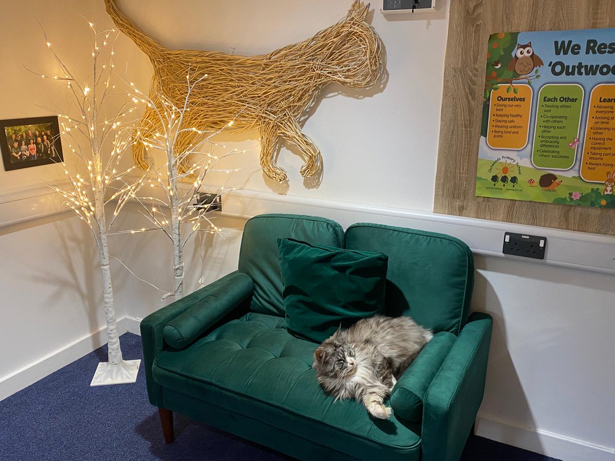 Either this is a very small sofa or I'm a very large cat!
The beautiful cat on the wall is darling Cilla 🌈, created at the willow weaving workshop our little people had in her memory - thanks to the kindness of our friends on Twitter/X ❤️
#cats #CatsofTwitter #Hedgewatch