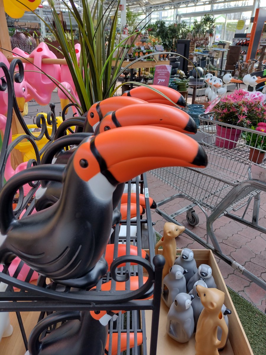 Fuchsi_beyond_Funny tweet media