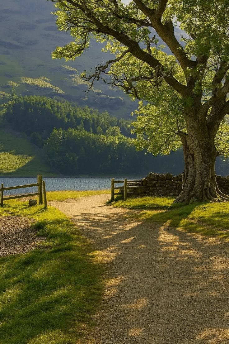 Appart Design tweet media