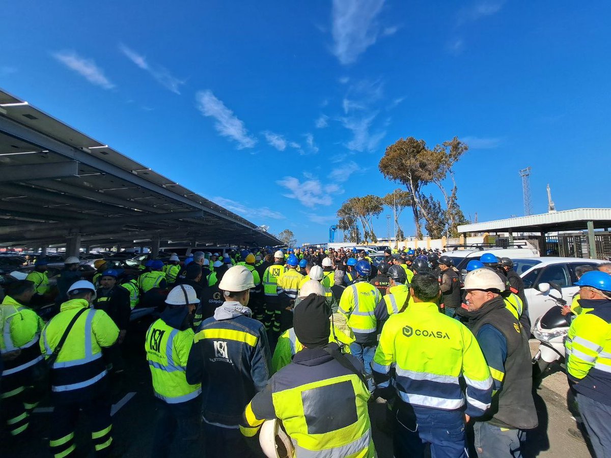 David de la Cruz 🇵🇸 tweet media