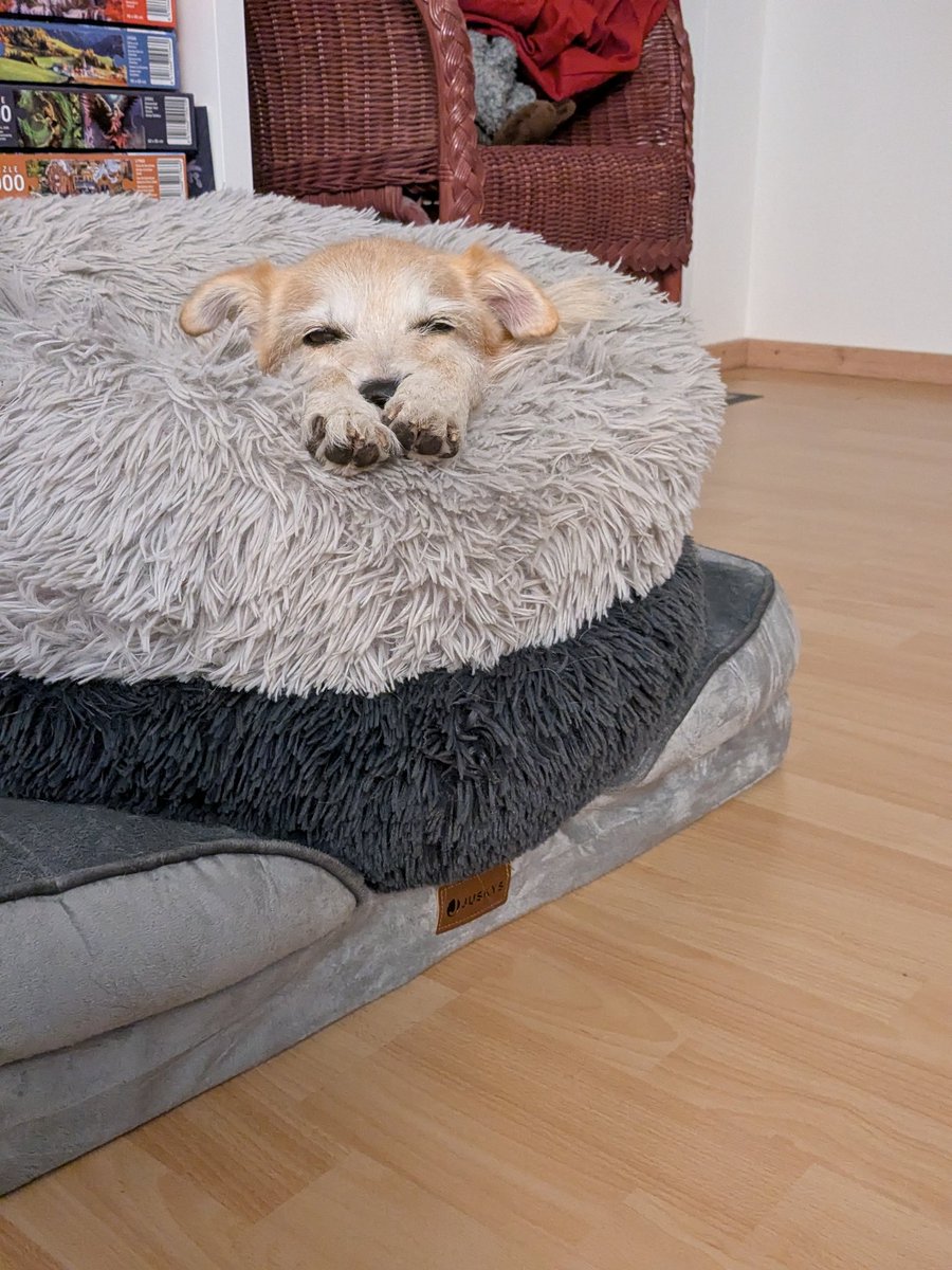 Armes unter🍪tes Kuku tweet media