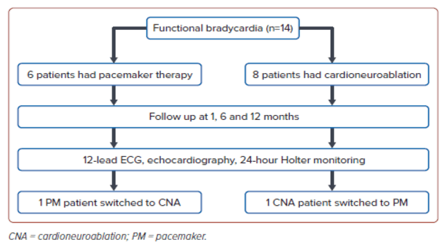 Radcliffe Cardiology tweet media