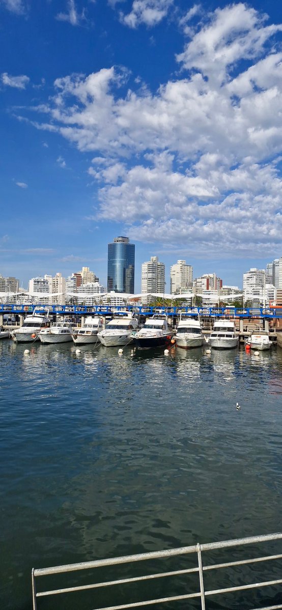 CIUDADANOJorgeCASTRO tweet media