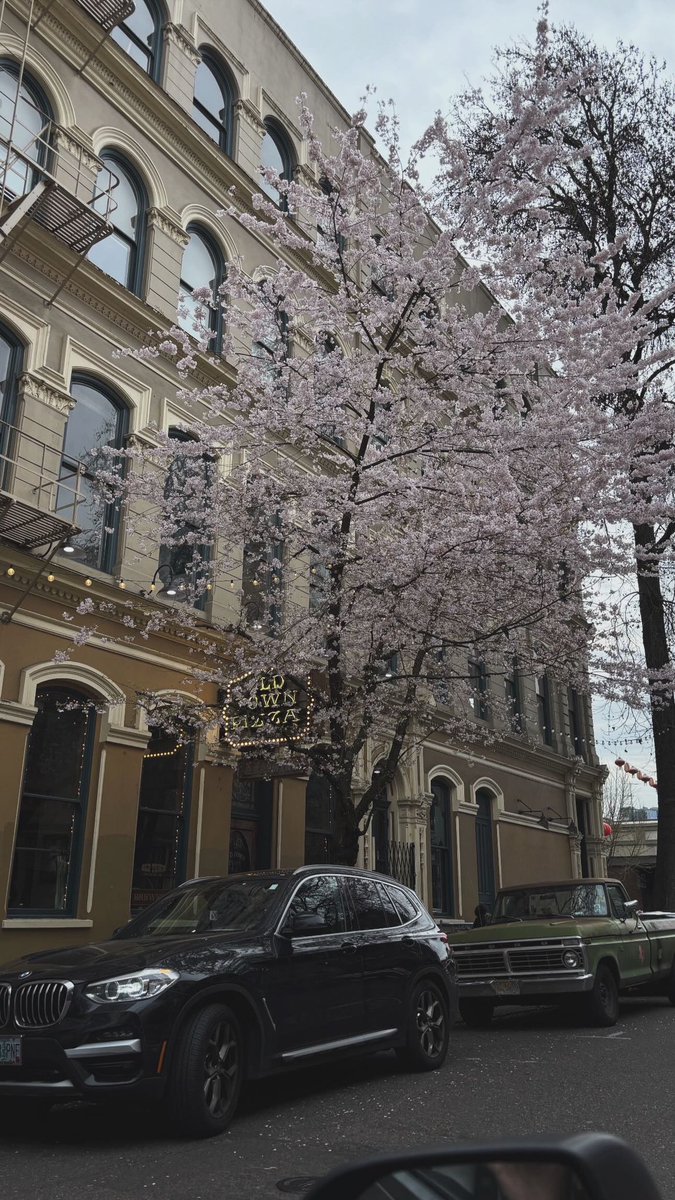 💗siege💗 tweet media