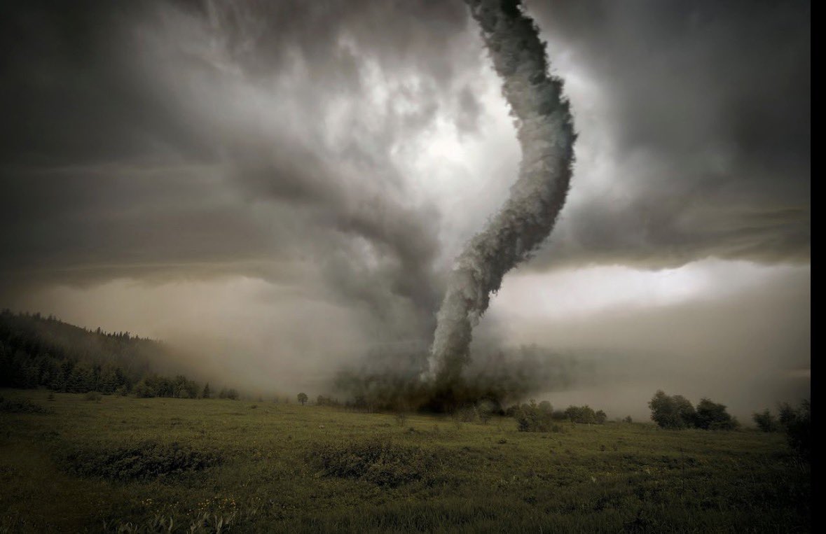 Jeanine Elsholz tweet media