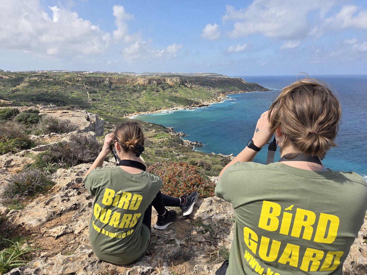 Committee Against Bird Slaughter (CABS) tweet media