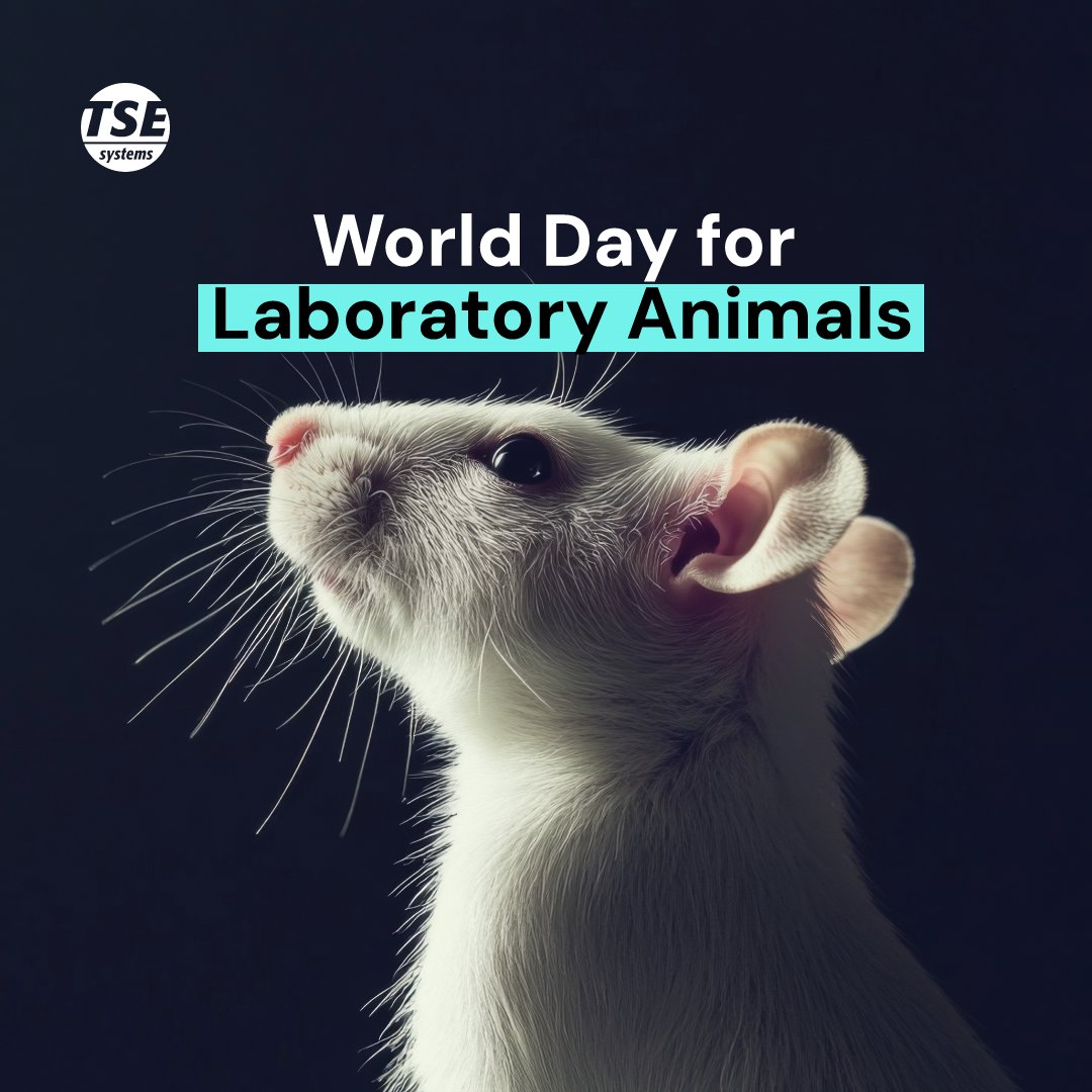 TSE Systems tweet media