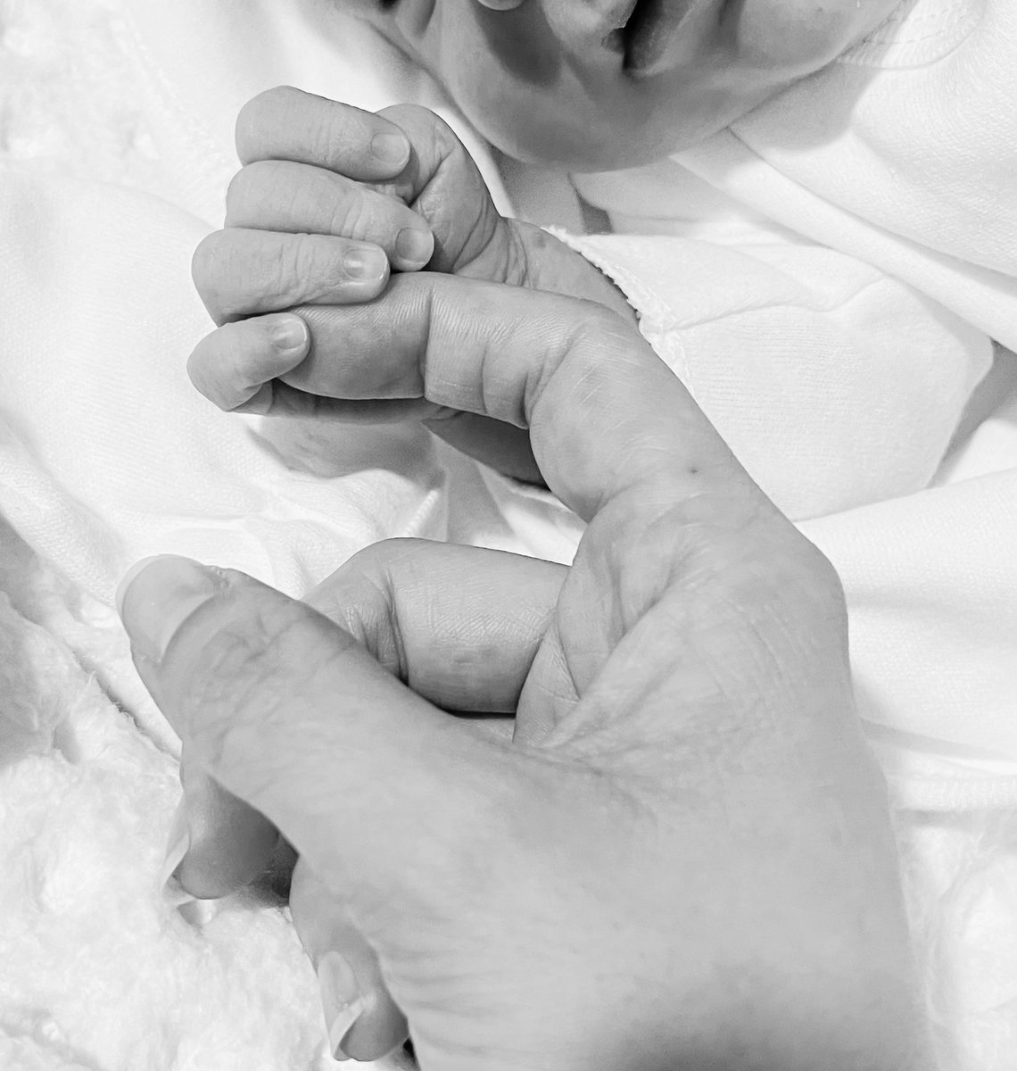 Erva Kara tweet media