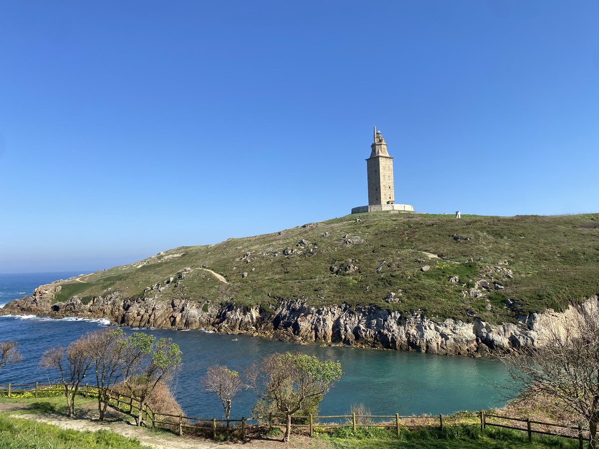 VientoRural tweet media