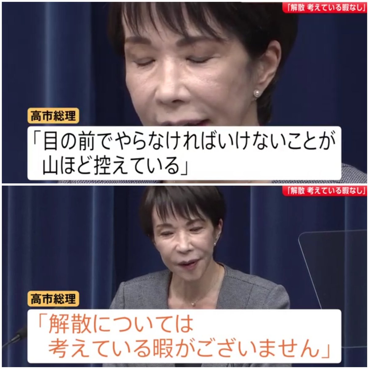 うさ藩🐰 tweet media