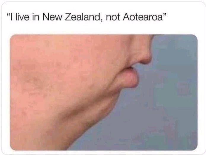 Honestly tweet media