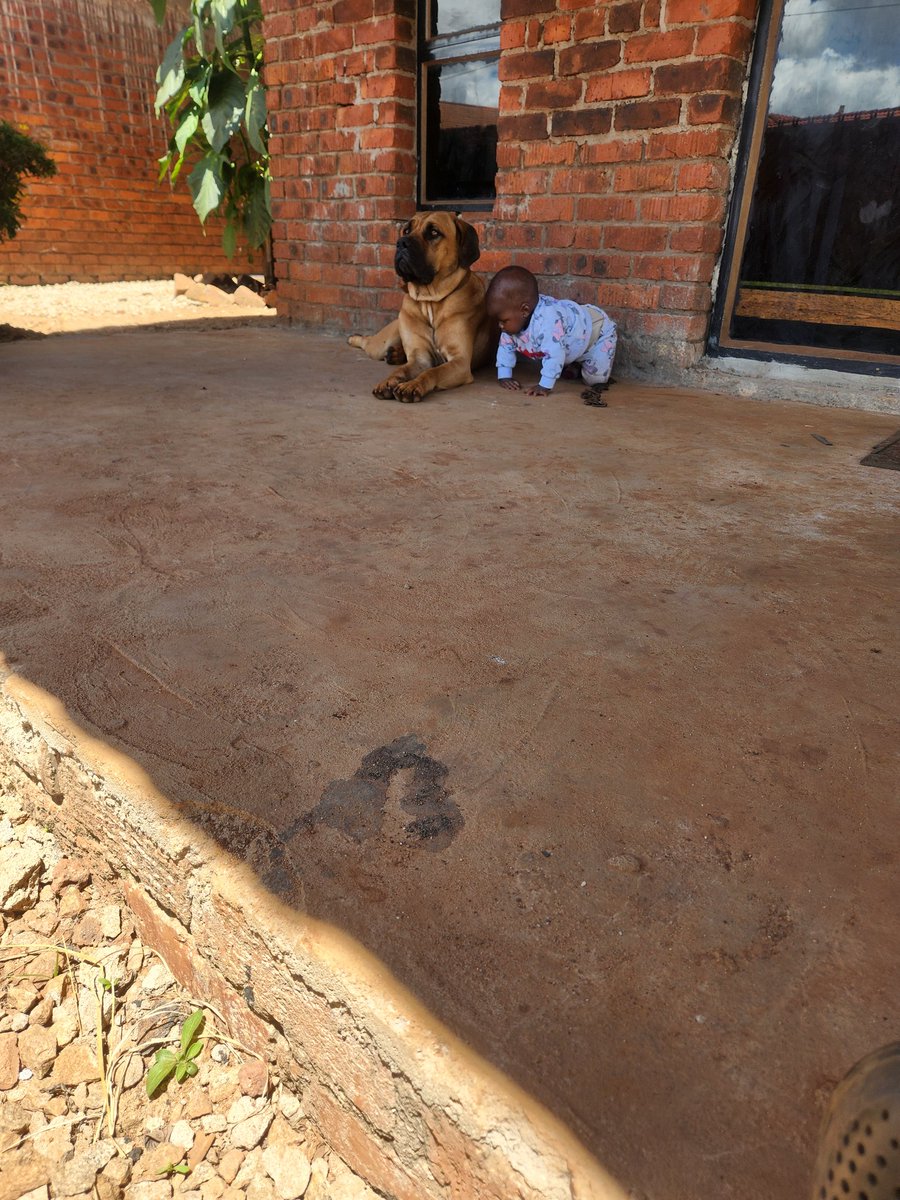 Ba Zuva 🇿🇼🇬🇲 tweet media