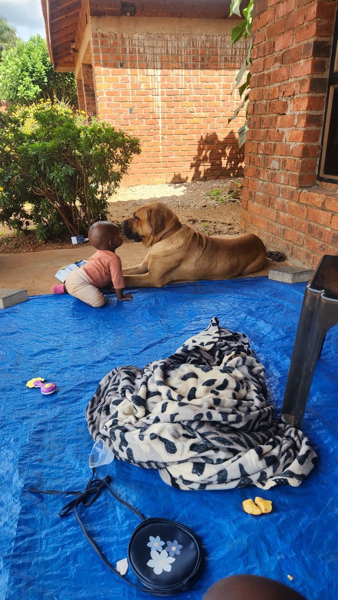 Ba Zuva 🇿🇼🇬🇲 tweet media