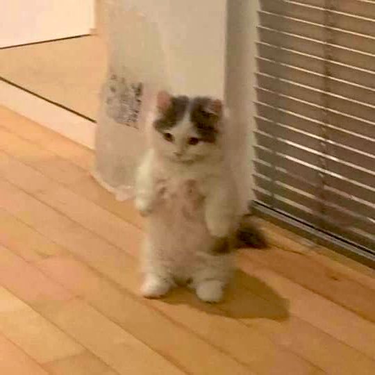 bels🍀 tweet media