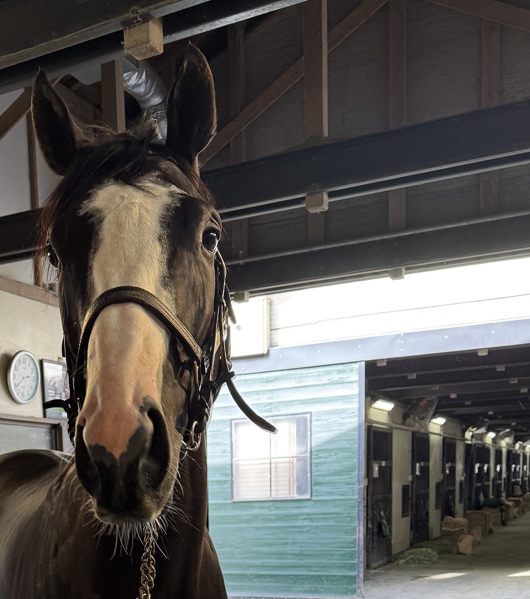 あん🥕🍚🦖✨ tweet media