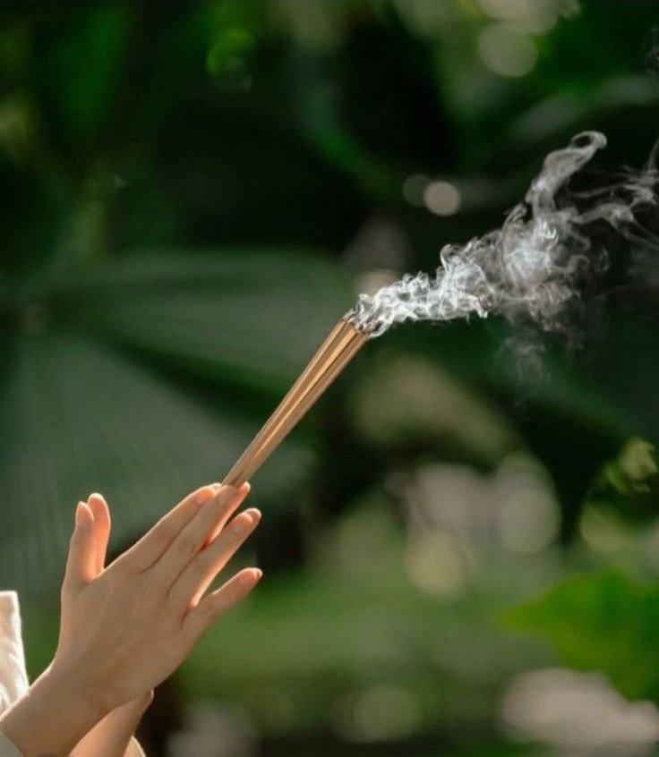 TAO CHAN 🪷 ZEN tweet media