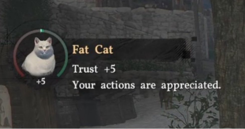 gatos fazendo gatices tweet media