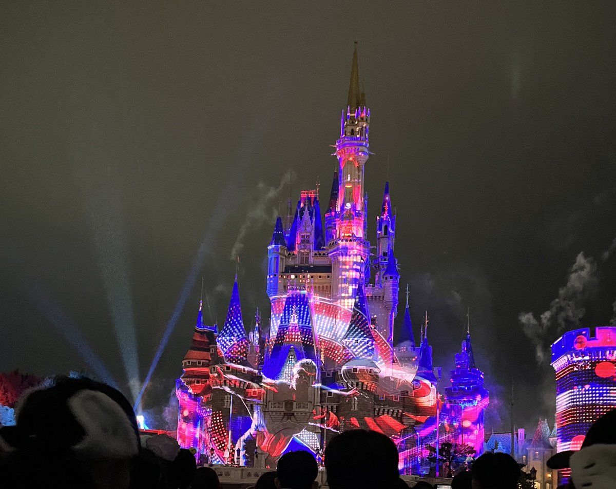 夢の国に行ってきました〜🏰
楽しかった〜