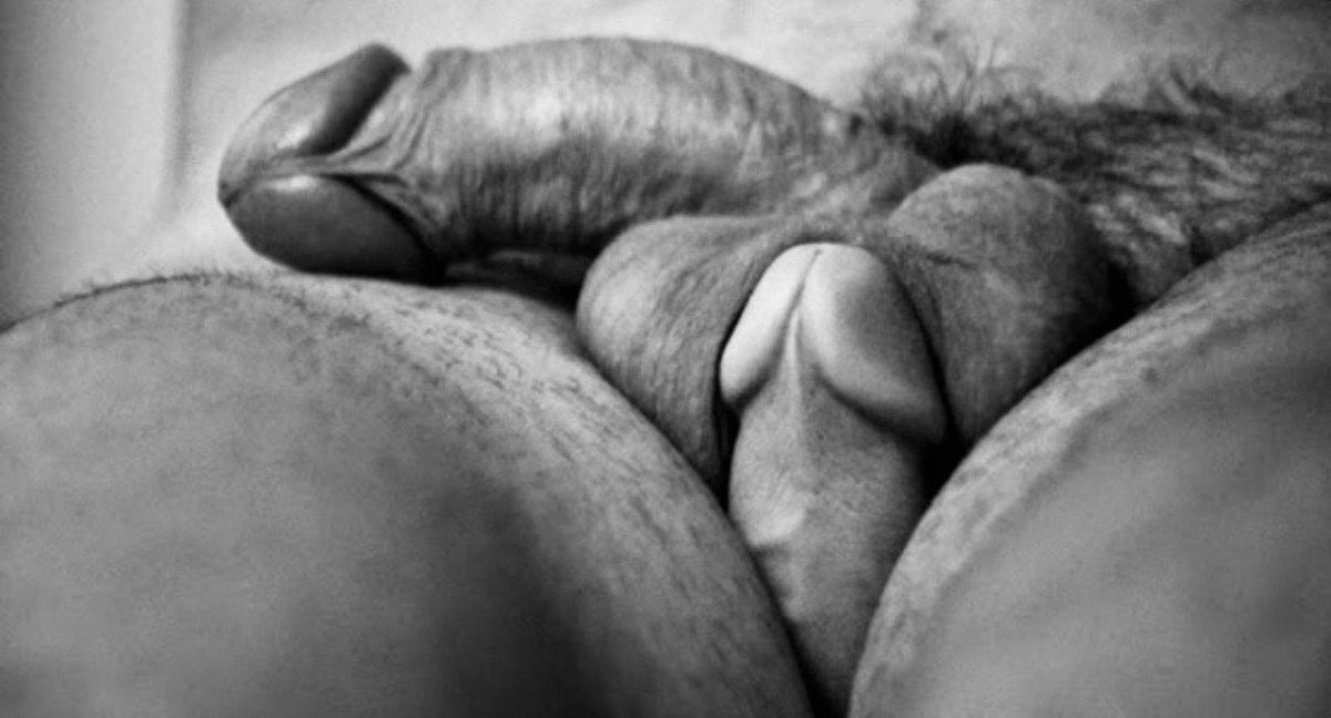 GayTropics's tweet photo. Snuggled…
#SoftGayCock https://t.co/zEtGZGrYXV