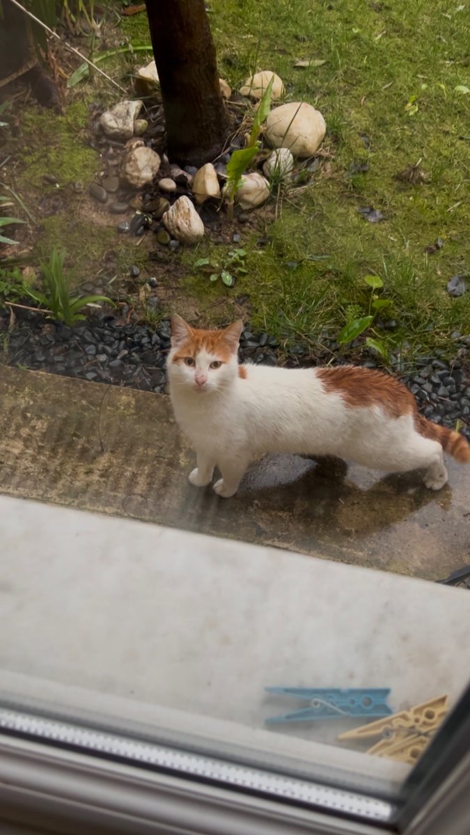 erd 〽️ tweet media