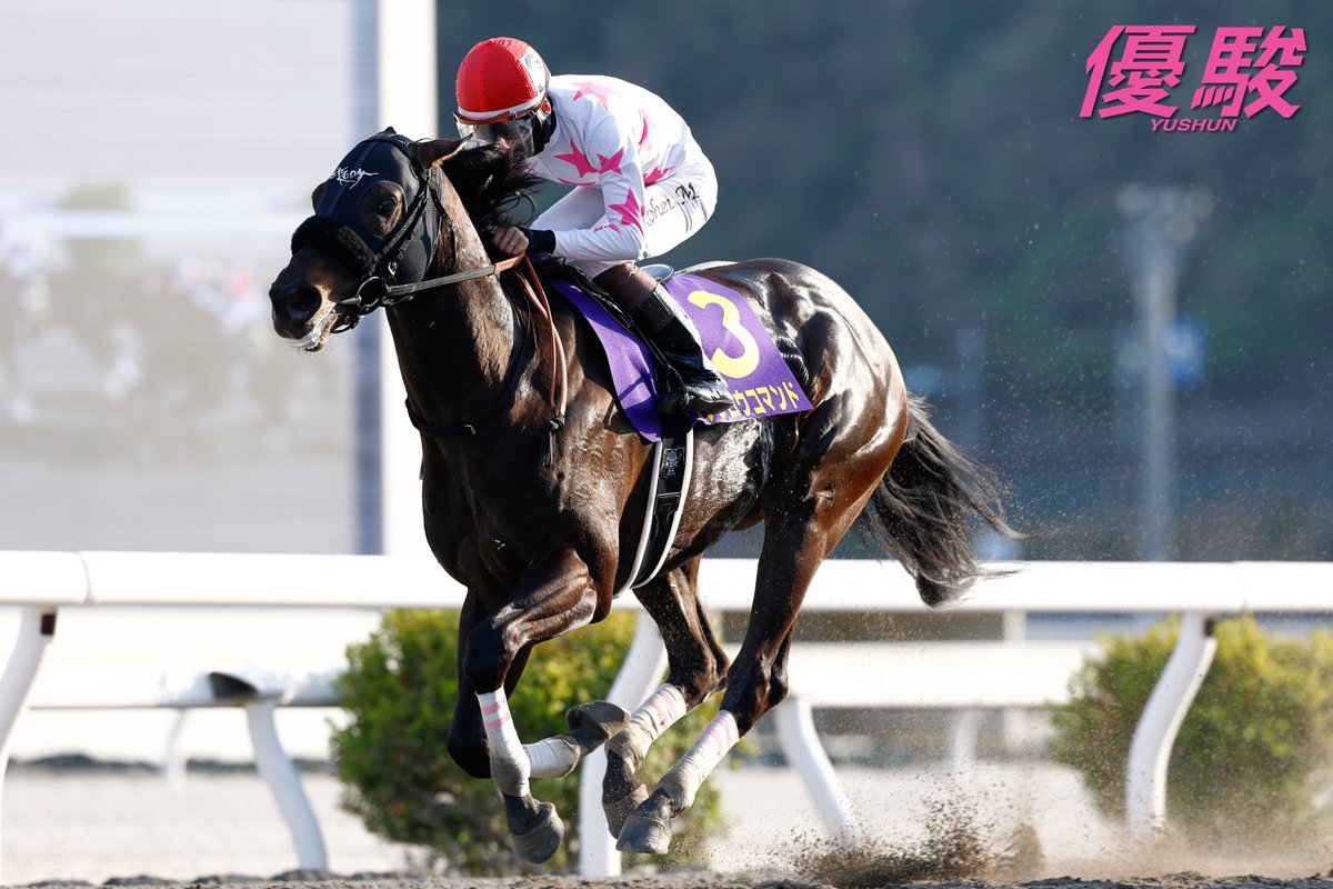 『優駿』編集部 tweet media