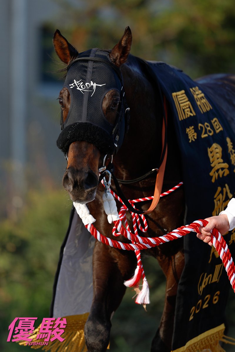 『優駿』編集部 tweet media