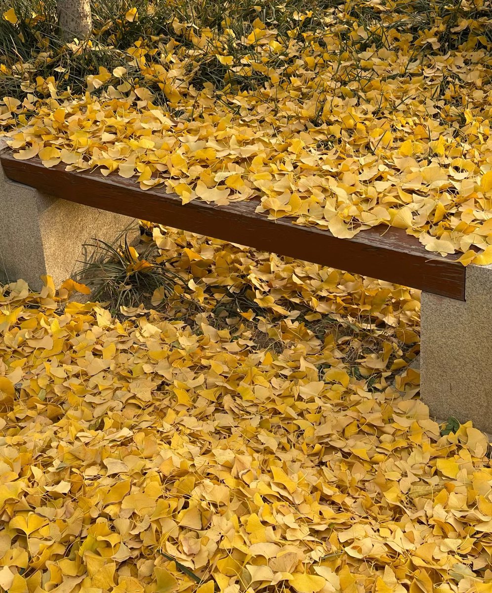 hector lopez liarte tweet media