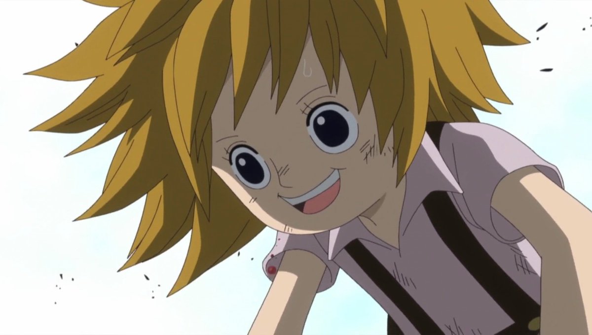 Daily Koala tweet media