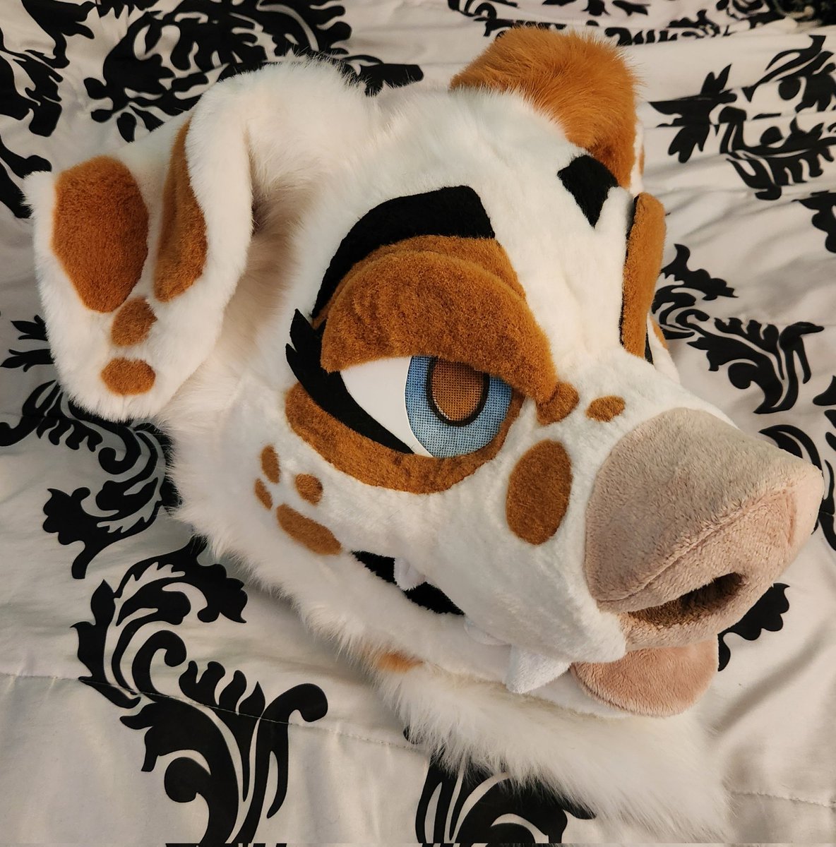 SunPups's tweet photo. I welcomed this doggo home some months ago! Just never posted and havnt figured out a name. 
One day id love to get her a fullsuit, but for now just happy to have a @deerinahat head. :D https://t.co/LCzIdw98N7