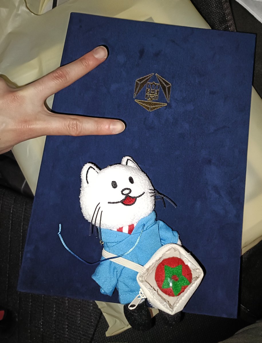 ニア@RatioClavis(愛知②東京②) tweet media