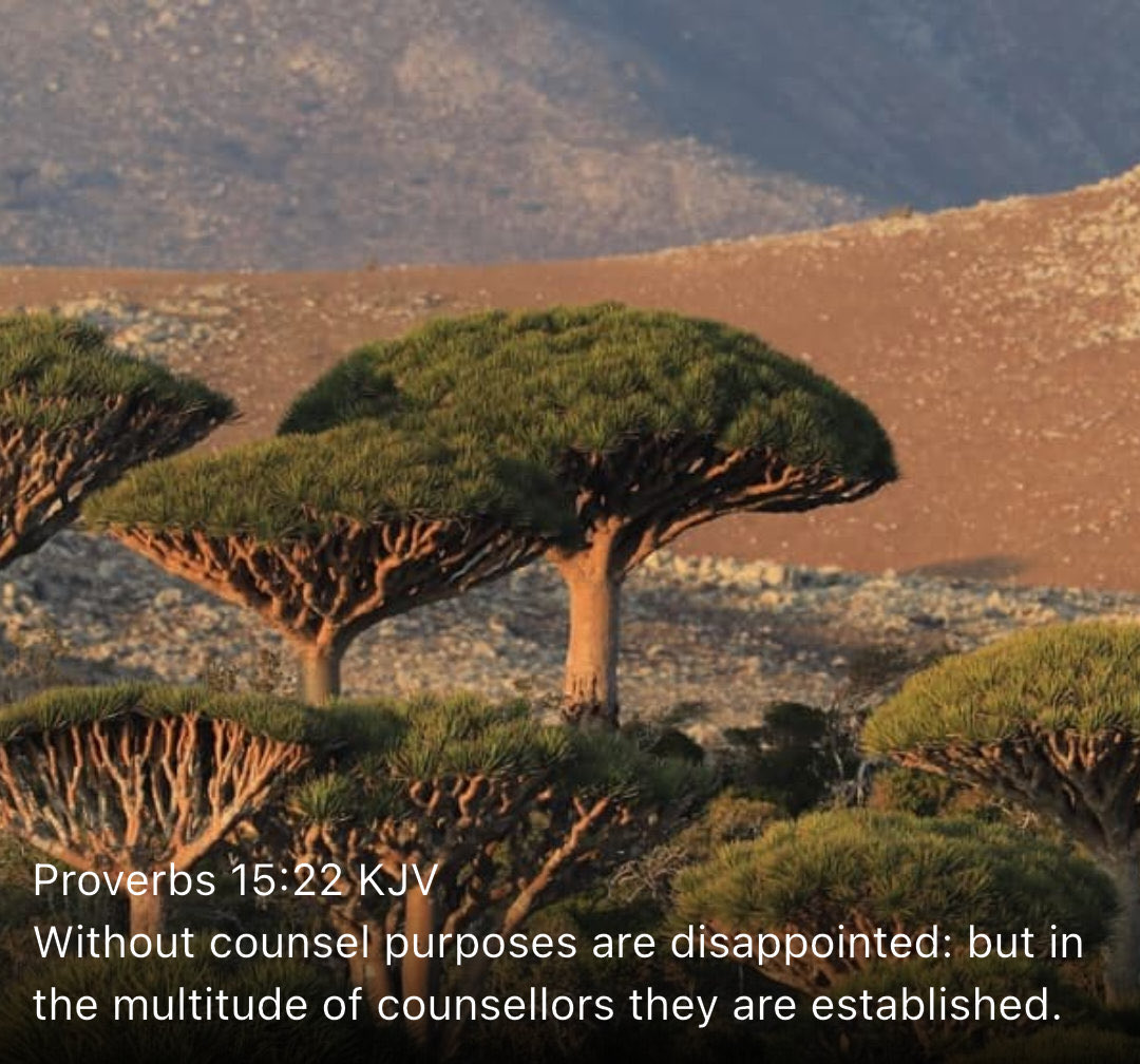 Lenora Broome 🇺🇸 tweet media