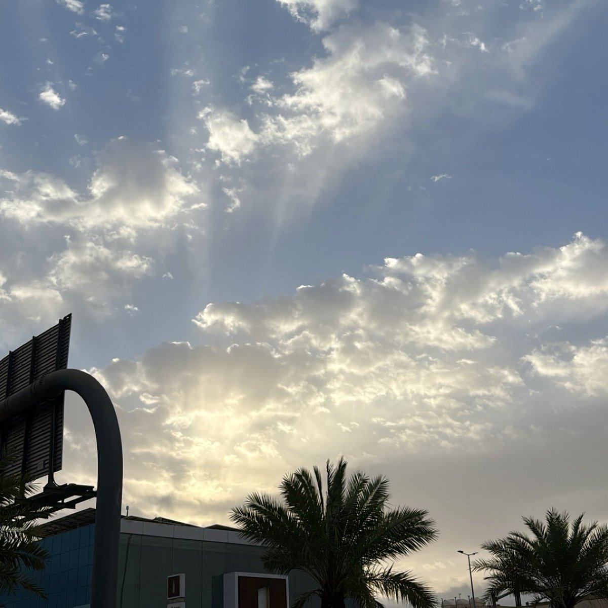 MK 🇸🇦 tweet media