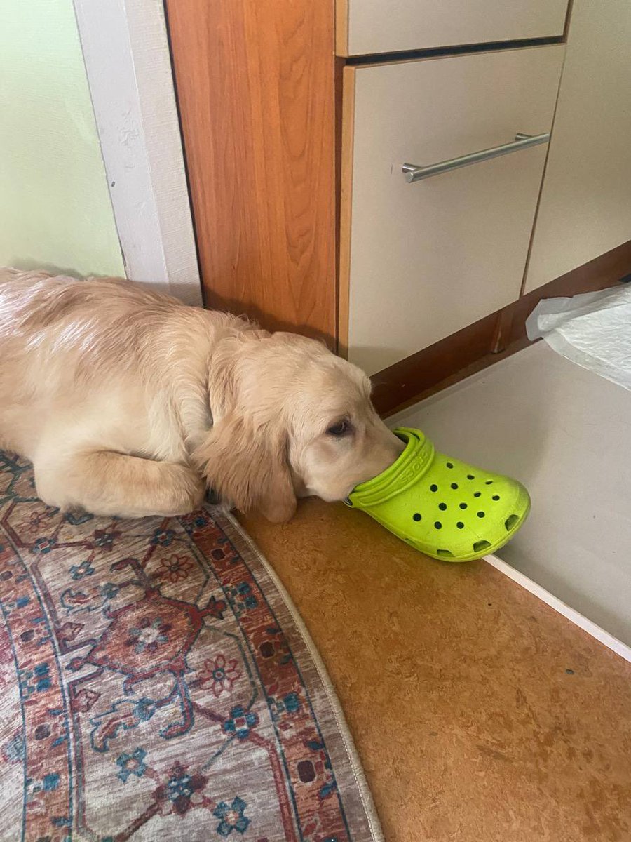 Нытьяна tweet media