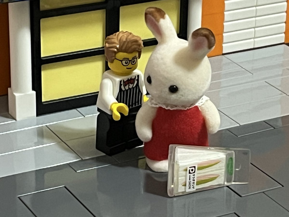 シルバニア駐在員 tweet media