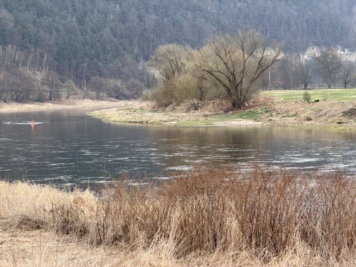 Forstler tweet media