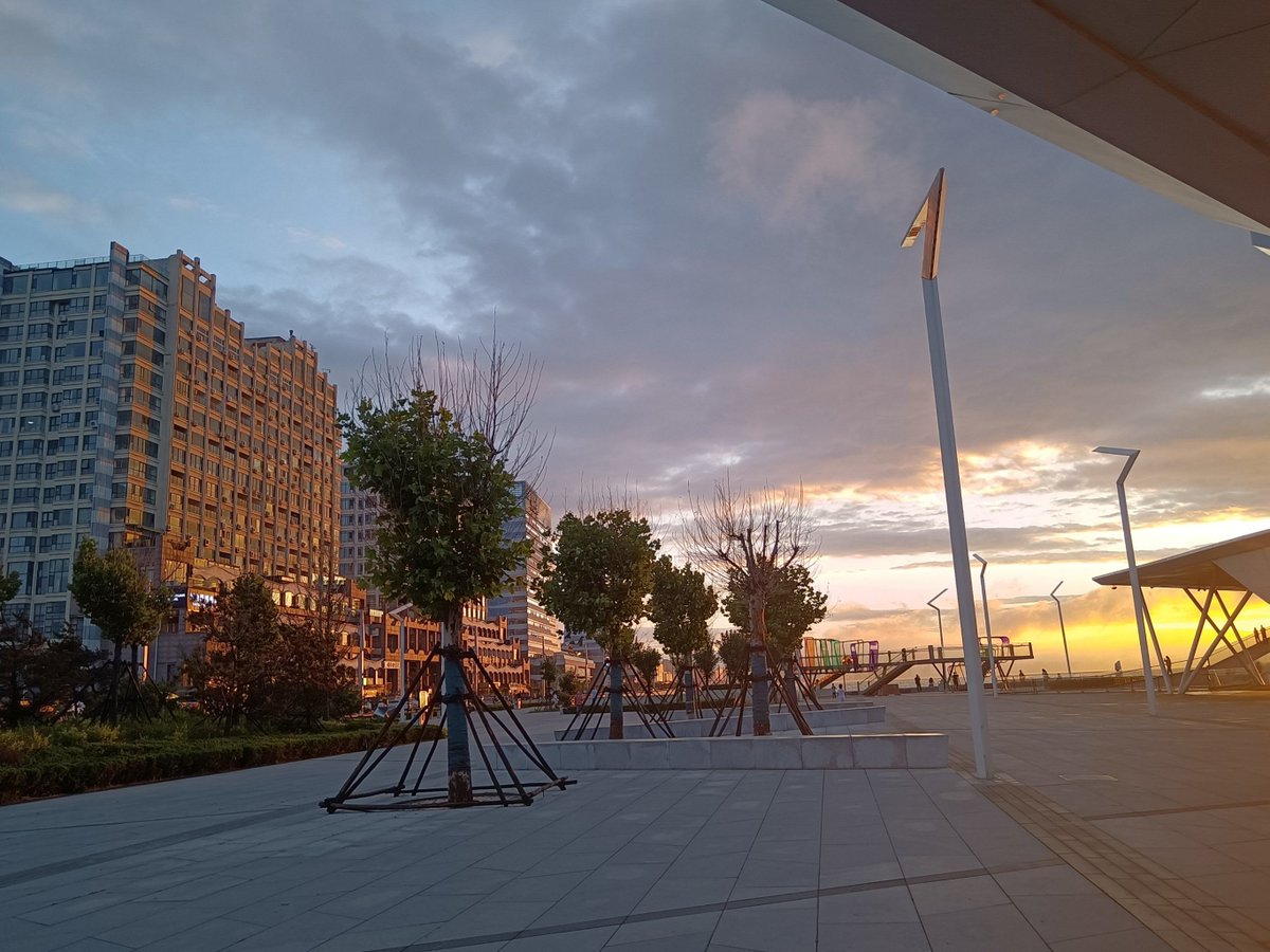 محمود tweet media