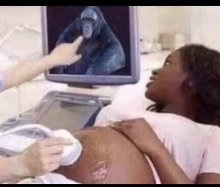 The disgusting goat raping somalian tweet media