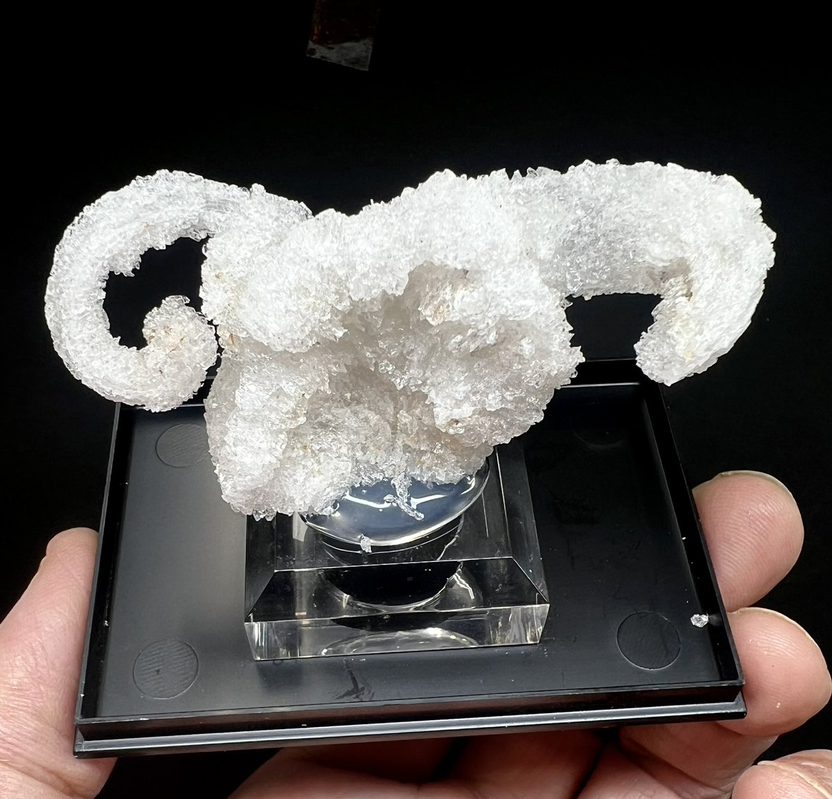 ハンズ名古屋店 tweet media