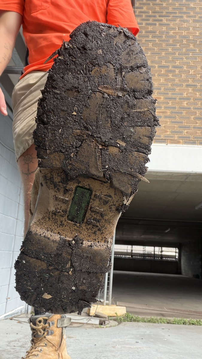 Alpha Scouse Master 🥾 tweet media