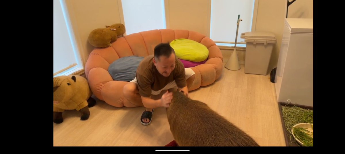 空音(たかね)🎀*カピバラマロン親衛隊🌰 tweet media