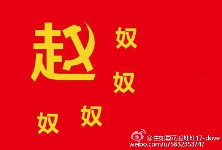 粉蛆狗奴才全家死完 tweet media