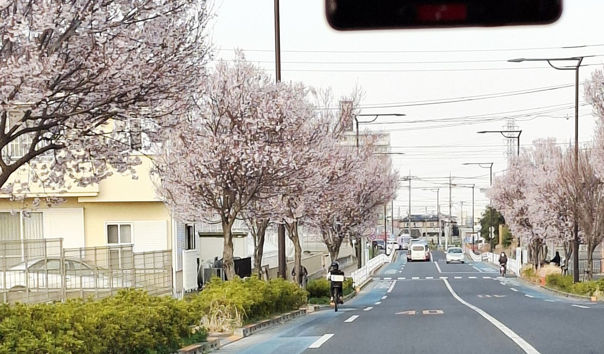 ハンドメイドサークルピュア tweet media