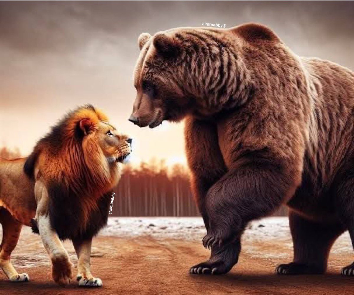 المتنبي. tweet media